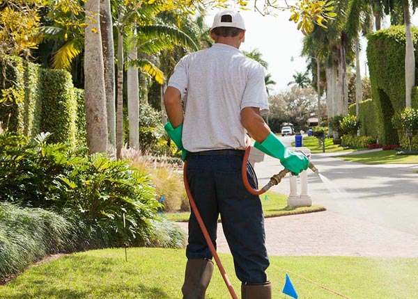 About Canton Center CT Pest Control